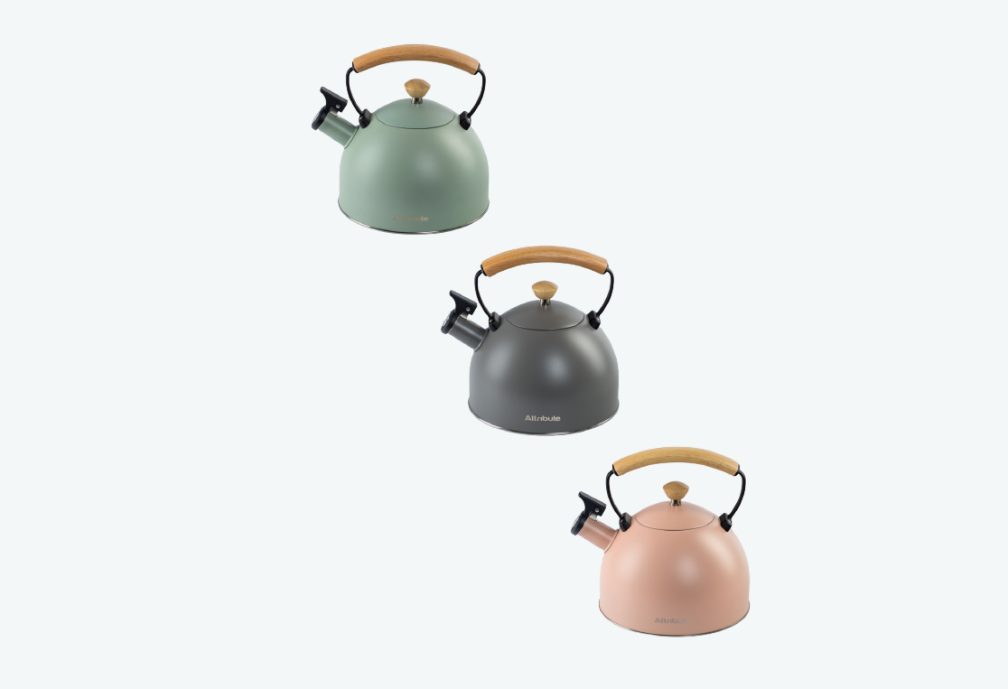 Чайник SCANDINAVIA 2.5л 