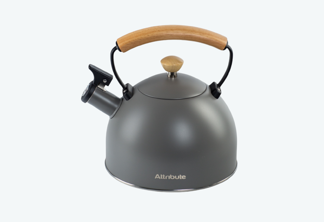 Чайник SCANDINAVIA 2.5л 