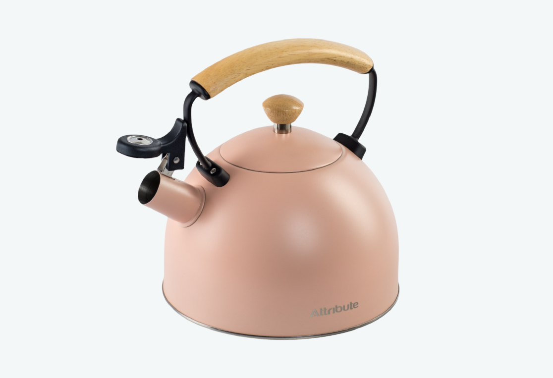 Чайник SCANDINAVIA 2.5л 